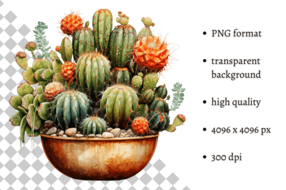 Download Potted Cactus PNG Illustration - Premium Resources