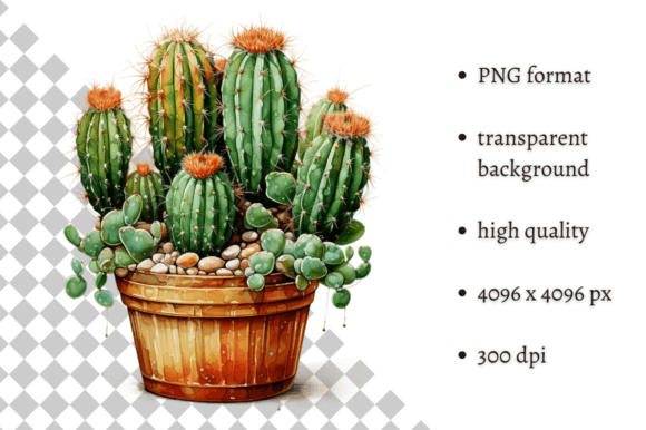 Download Potted Cactus PNG Illustration - Premium Bundle