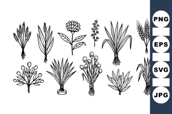 Download Hand Drawn Botanical Set - Hand drawn Collection