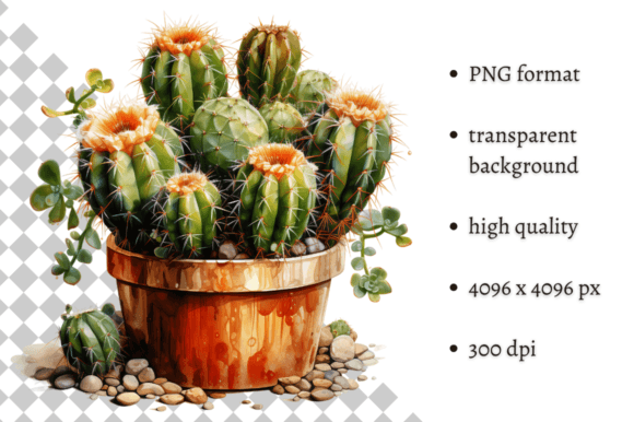 Download Potted Cactus PNG Illustration - Premium Resources